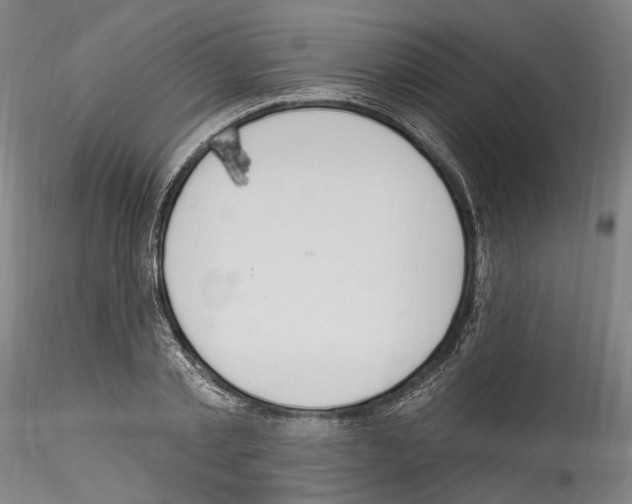 X0000114550789200911301223