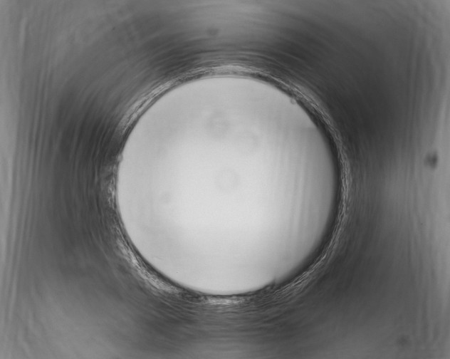 X0000114550793200911301223