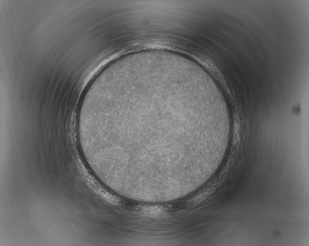 X0000114550798200911301223
