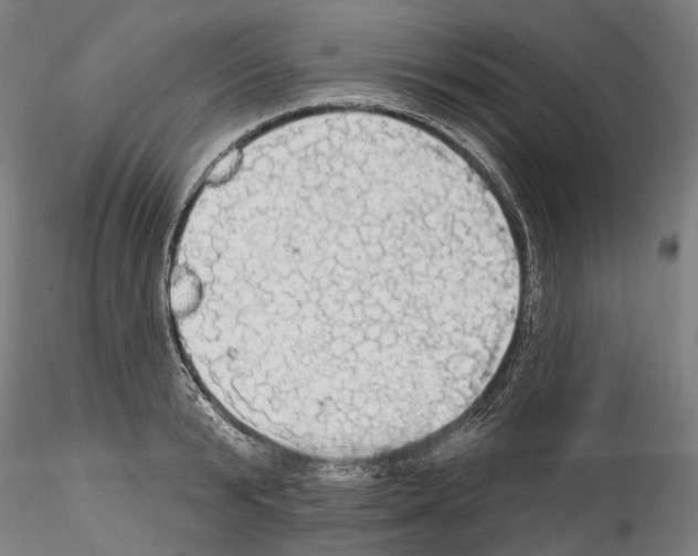 X0000114550799200911301223