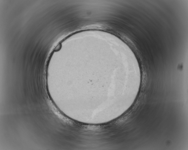 X0000114550800200911301223