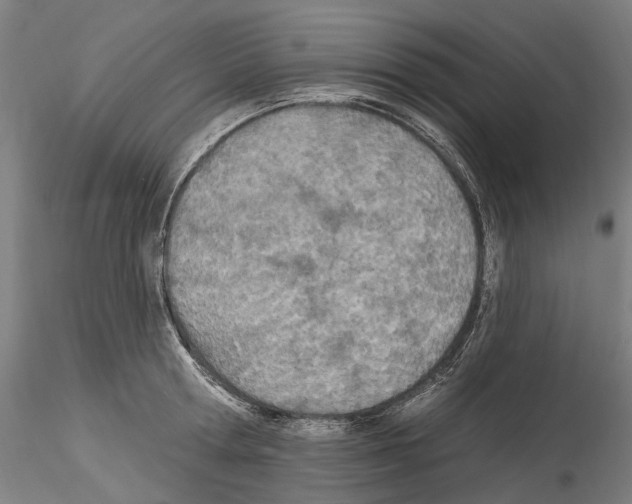 X0000114550802200911301223