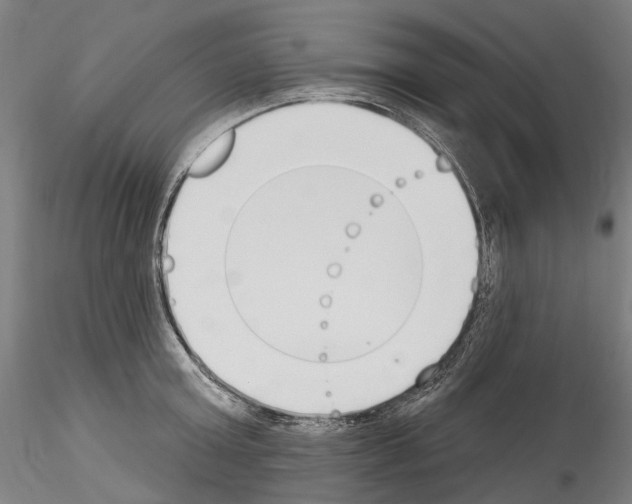 X0000114550803200911301223