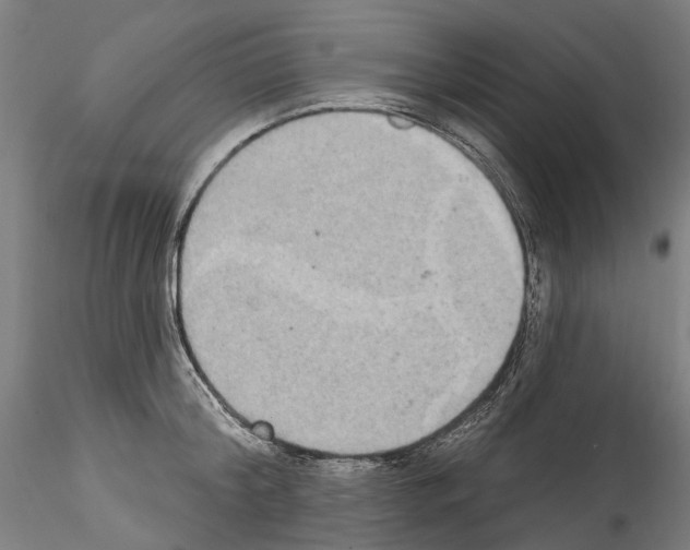 X0000114550804200911301223