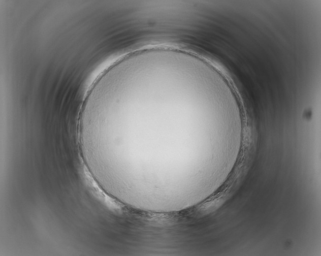 X0000114550807200911301223