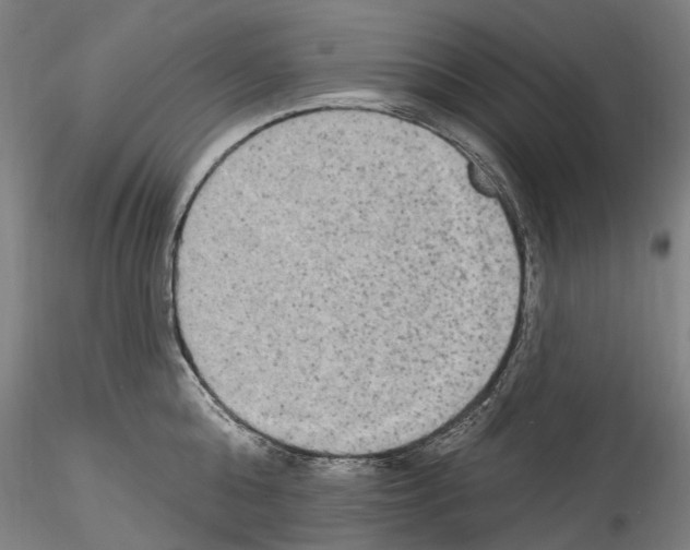 X0000114550808200911301223
