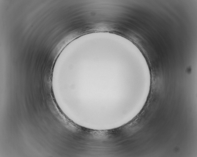 X0000114550810200911301223