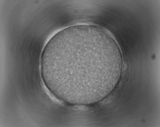 X0000114550811200911301223