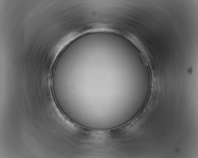 X0000114550813200911301223