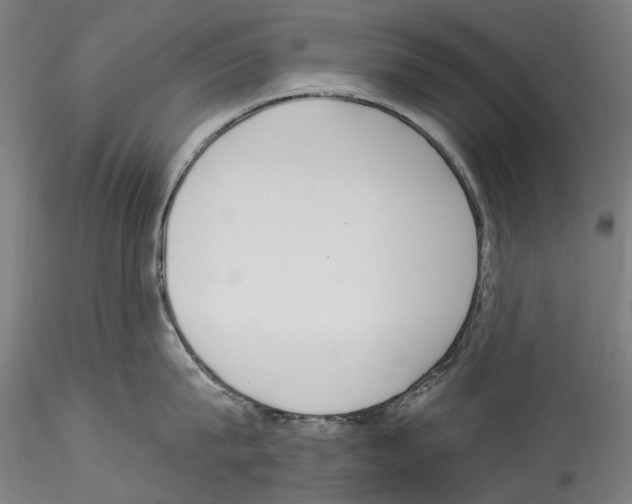 X0000114550815200911301223