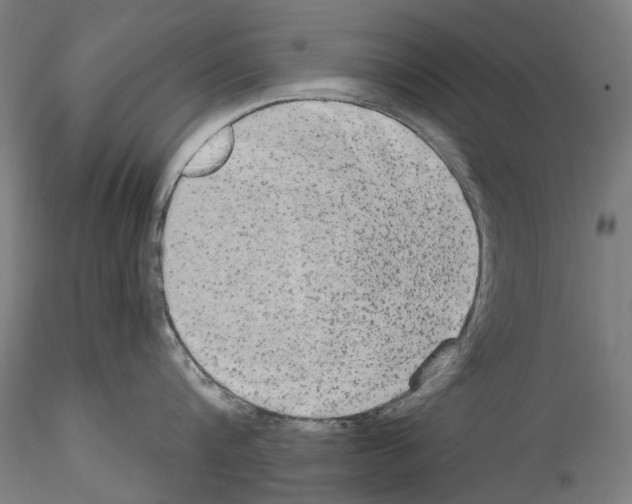X0000114550816200911301223