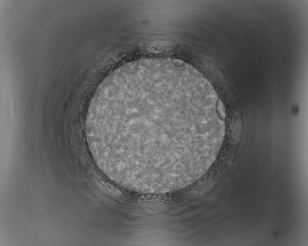 X0000114550817200911301222