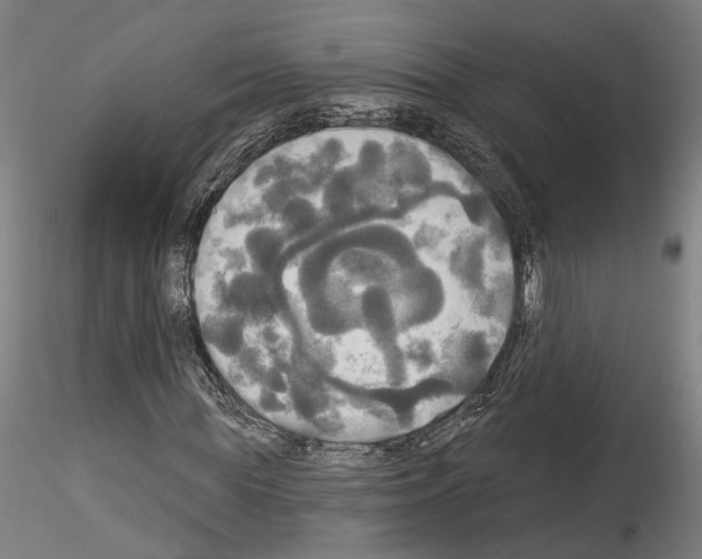 X0000114550819200911301222