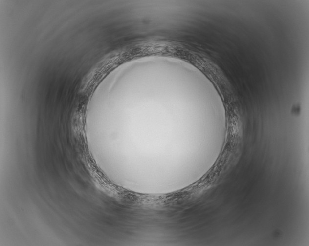 X0000114550820200911301222