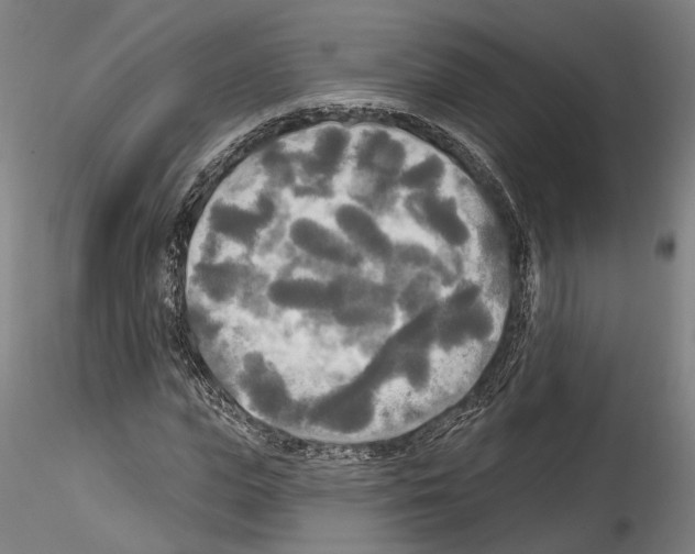 X0000114550823200911301222