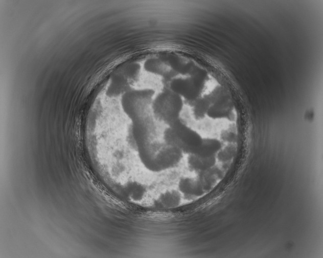 X0000114550825200911301222