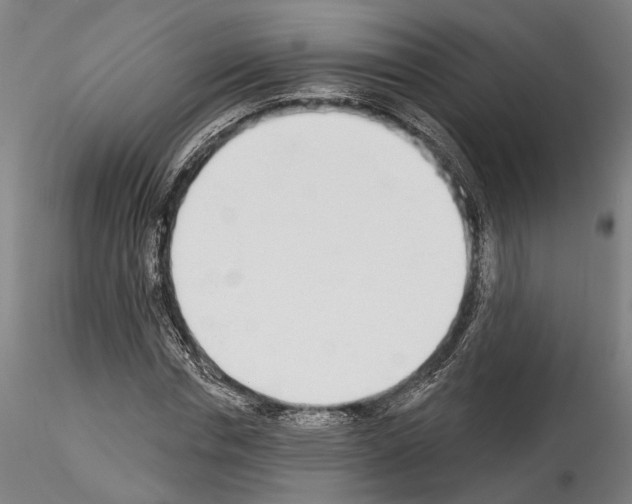X0000114550826200911301222