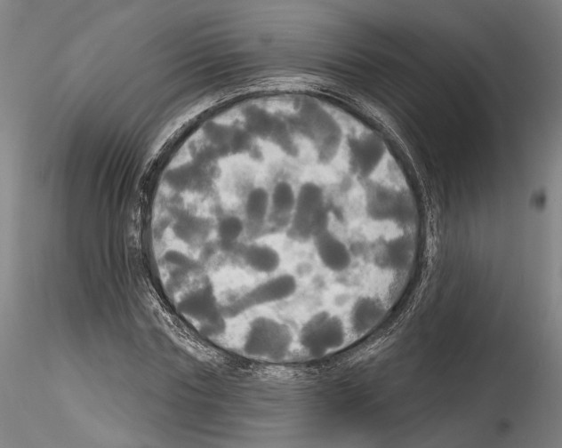 X0000114550827200911301222