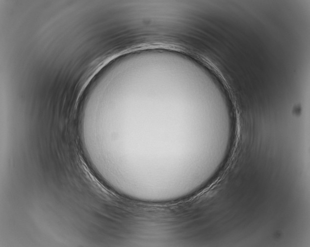 X0000114550828200911301222