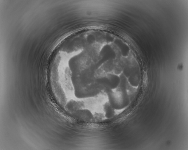 X0000114550829200911301222