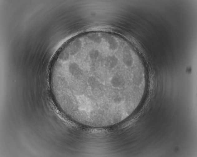 X0000114550830200911301222
