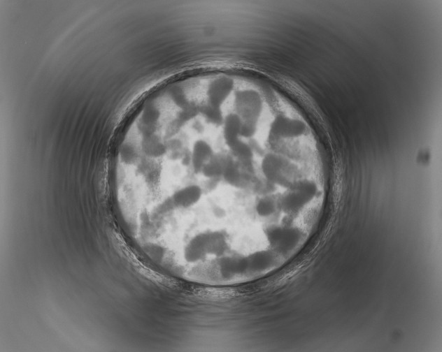 X0000114550831200911301222