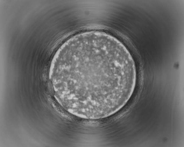 X0000114550833200911301222