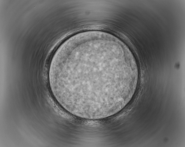 X0000114550835200911301222