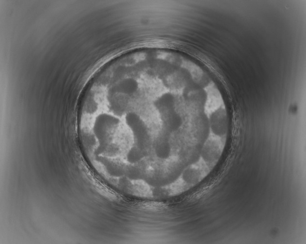 X0000114550837200911301223