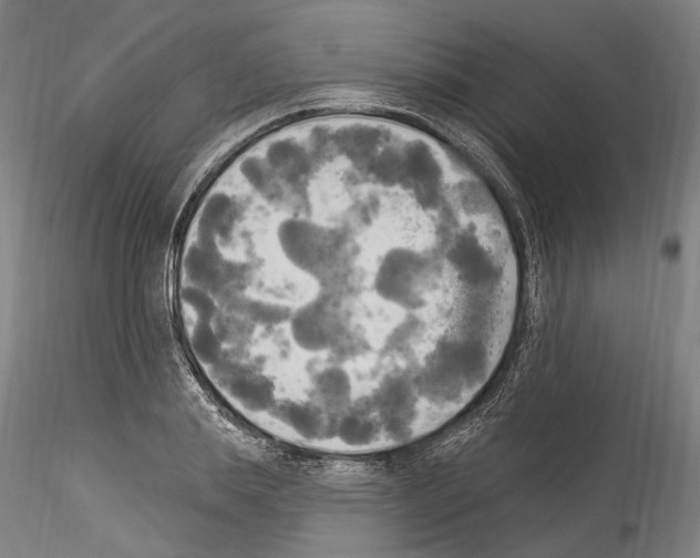 X0000114550839200911301223