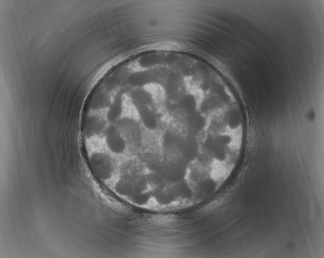 X0000114550845200911301223