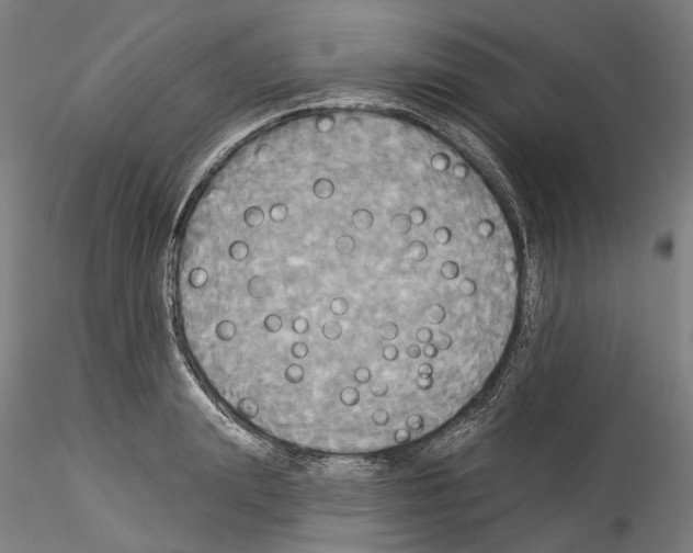 X0000114550847200911301223
