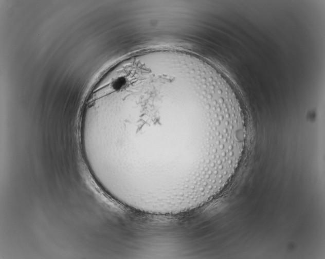X0000114550848200911301223