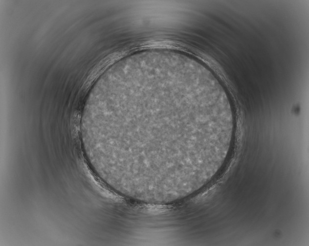 X0000114550849200911301223