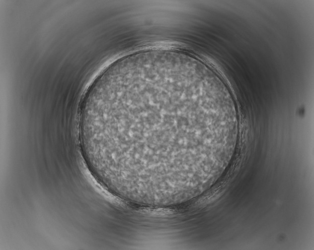 X0000114550851200911301223