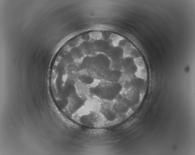 X0000114550853200911301223