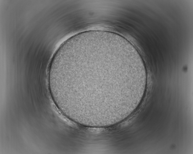 X0000114550854200911301223