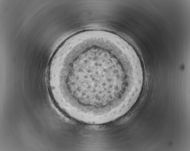 X0000114550855200911301223