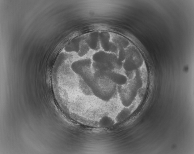 X0000114550857200911301223