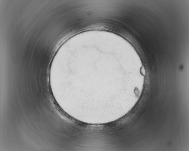 X0000114550858200911301223
