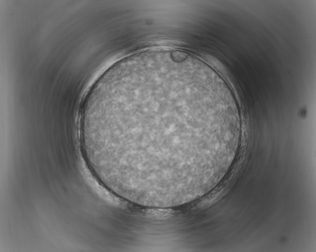 X0000114550859200911301223