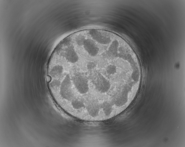 X0000114550862200911301223