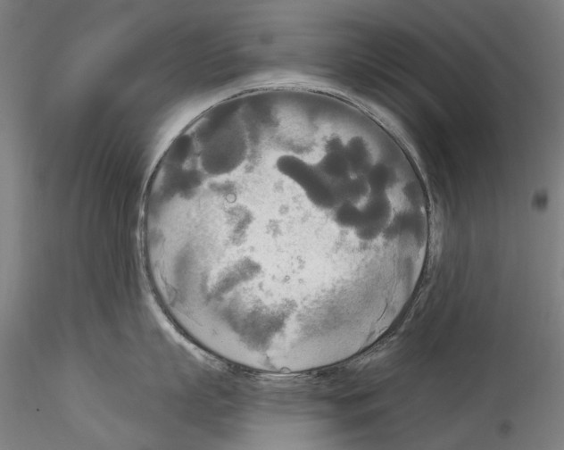 X0000114550863200911301223