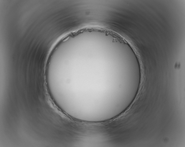 X0000114550864200911301223