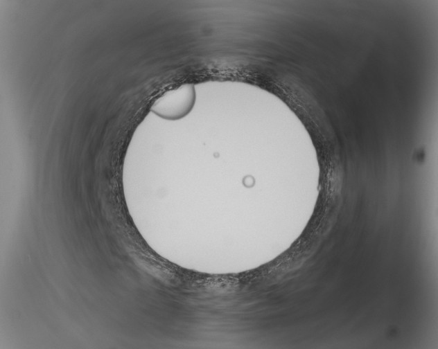 X0000114550865200911301222