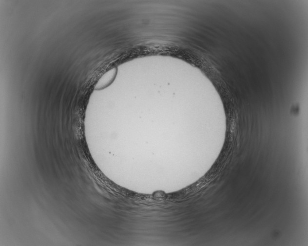 X0000114550868200911301222