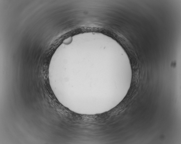 X0000114550870200911301222