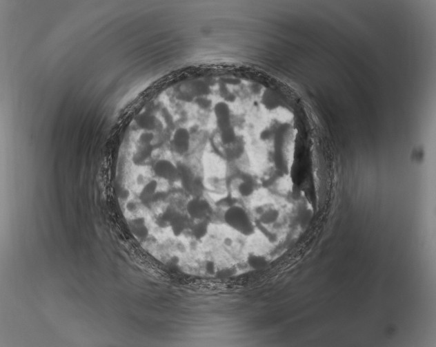 X0000114550871200911301222