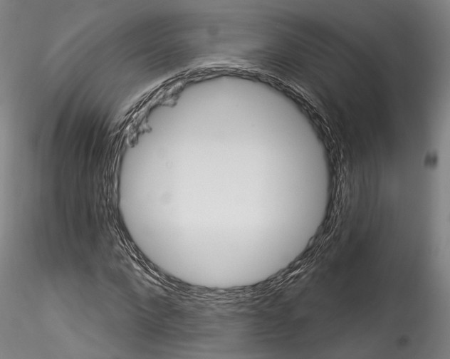 X0000114550872200911301222