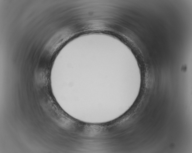 X0000114550873200911301222
